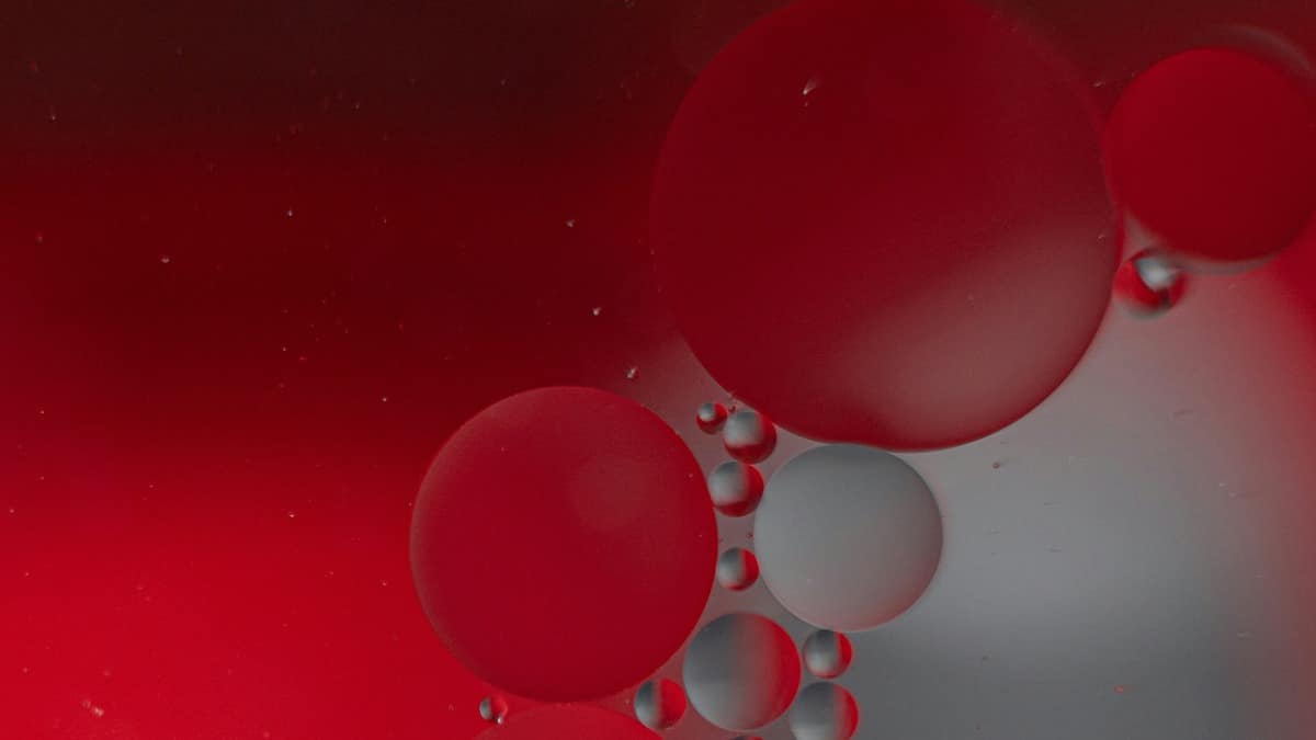 L-Carnitine Research: Energy Metabolism, Cellular Protection and More 1 Closeup image of muscle tissue cells.