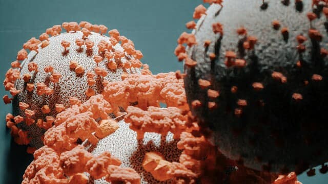 Vilon Peptide Research: Mechanisms, Chromatin, and Applications 1 Vilon peptide research