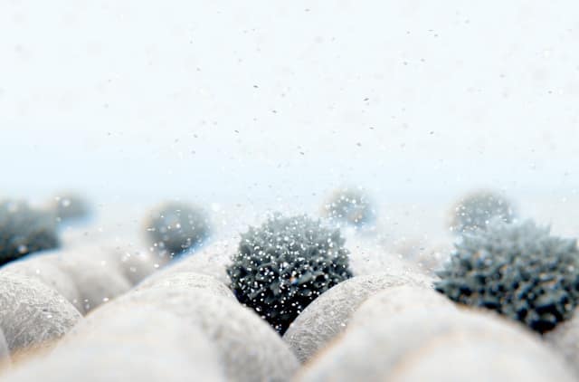 LL-37 Peptide: Inflammation, Immunity & Antimicrobial Research 1 A person's cupped hands hold dark pebbles or stones covered with water droplets against a blurred background.