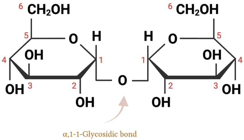 Mannitol vs Trehalose: Excipient Use in Peptide Manufacturing 3 image 1 | Mannitol vs Trehalose: Excipient Use in Peptide Manufacturing